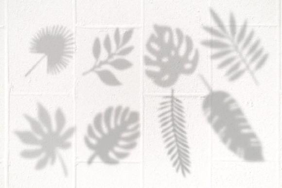 Mastering Natural Textures with Leaf Shadows Procreate Brushes